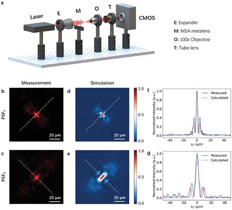 A Multifoci SparseAperture Metalens Xu 2024 Advanced Science