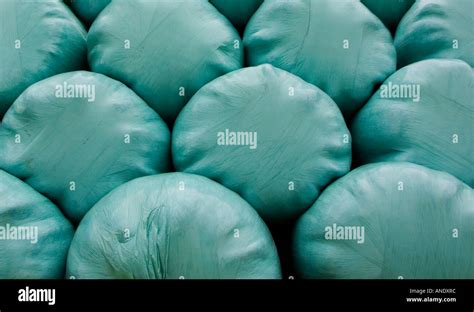 Plastic Covered Silage Hay Bales Cotswolds United Kingdom Stock Photo