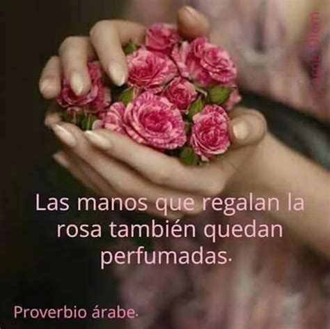 Las Manos Que Regalan La Rosa Tambi N Quedan Perfumadas Proverbio