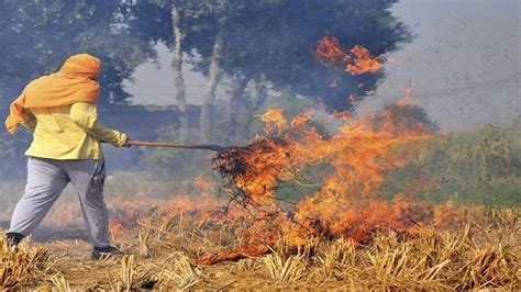 Stubble Burning पंजाब के सीमावर्ती जिलाें में जल रही पराली किसानाें