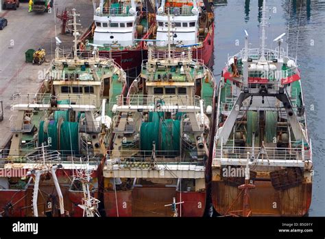 Barcos Pesqueros Amarrados En El Puerto De Ondarroa Pa S Vasco Norte De