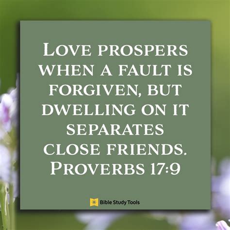 God Is All About Forgiveness Proverbs 17 9 Your Daily Bible Verse