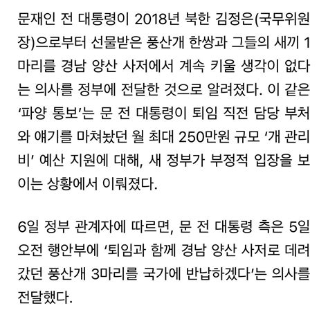 단독 양산 데려갔던 김정은 풍산개 3마리 文 정부에 파양 통보 인스티즈instiz 이슈 카테고리