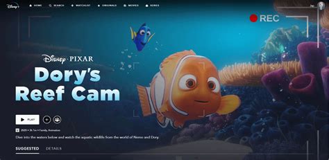 Dory's Reef Cam is now Available! : r/DisneyPlus