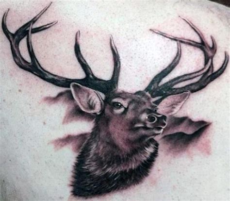 Realistic Stag Tattoo Designs You Must See Petpress Stag Tattoo