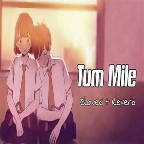 Tum Mile Slowed Reverb Song Lofi Mix Song Empty Heart Rimix Songs