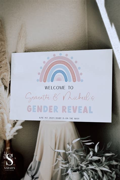 Twin Gender Reveal Gender Reveal Party Games Gender Reveal Decorations Gender Reveal