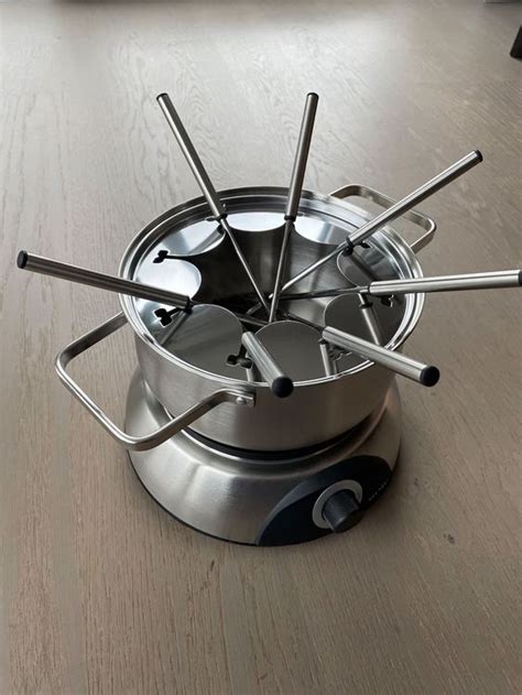 Fondue Chinoise Set Aus Edelstahl Mit Elektroplatte Kaufen Auf Ricardo