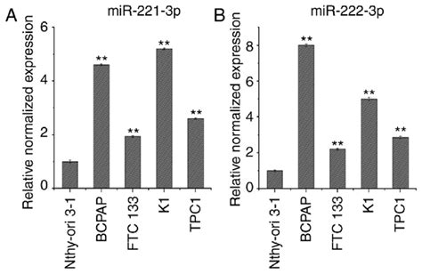 Expression Levels Of MiR 221 3p And MiR 222 3p In Thyroid Cancer Cell