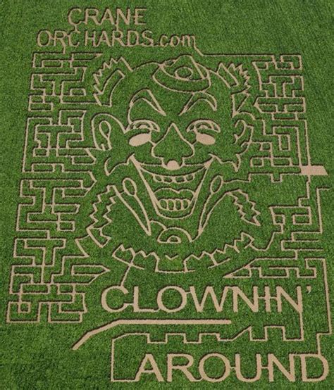 8 Amazing Corn Field Mazes Corn Maze Maze Corn