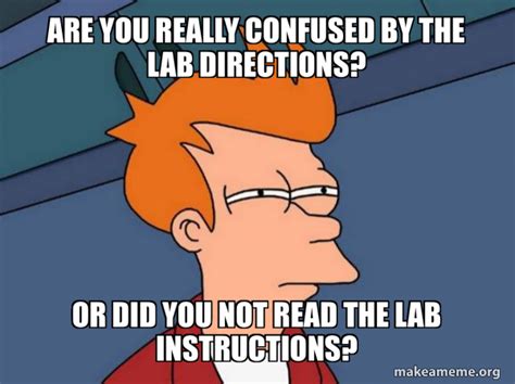 Are You Really Confused By The Lab Directions Or Did You Not Read The Lab Instructions