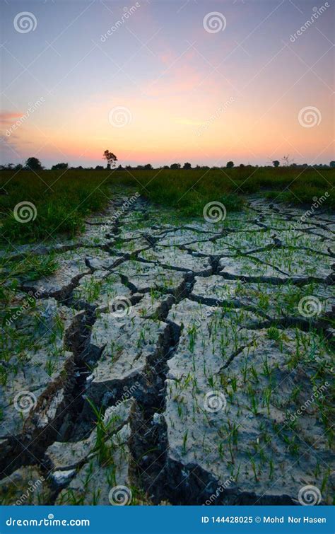 Deserto Rachado Seco a Falta Global Da gua No Planeta Â Aquecimento