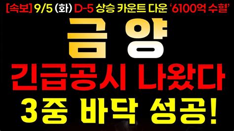 금양 95 화 10분전 기습속보 3중 바닥 만들었다 상승을 위한 준비 완료 Youtube