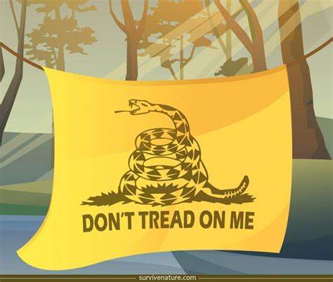 The Gadsden Flag And Don’t Tread On Me Culture For Survivalists ...