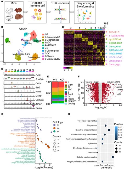 Frontiers Single Cell RNA Sequencing Reveals A Novel Inhibitory