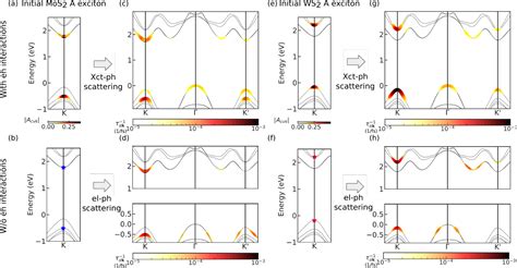 Excitonphonon Coupling Induces A New Pathway For Ultrafast Intralayer