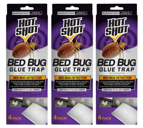 Effective Bed Bug Control Tips For Using Glue Traps