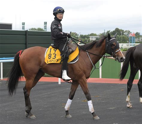 【キーンランドc】レイハリア 新兵器で連覇へ 実川助手「気持ちも体も上向いている」 競馬ニュース Netkeiba