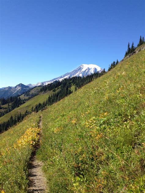 Tatoosh Ridge Packwood Wa Natural Landmarks Explore Packwood