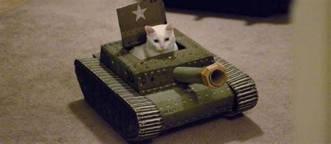 Create meme "cat tank, the cat in the tank, the cat on the tank ...