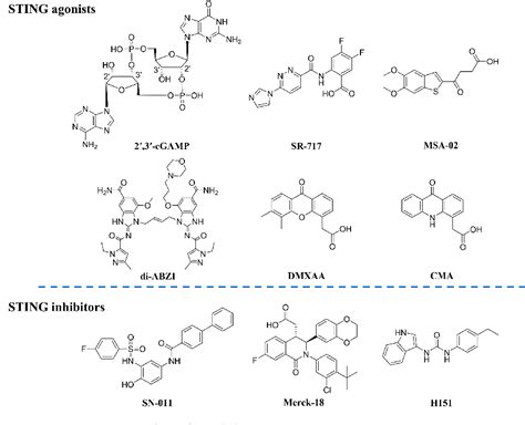 Pdf Discovery Of Novel Sting Inhibitors Based On The Structure Of The