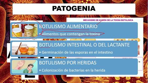 APRENDE sobre BOTULISMO Patogenia signos síntomas y vacuna YouTube