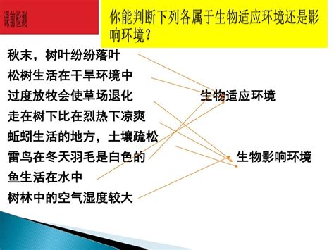 1 22第二节生物与环境组成生态系统2课时pptword文档在线阅读与下载无忧文档