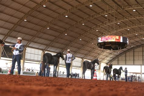 Mulheres Ao Mar Descobrindo O Encanto Da Cavalgada