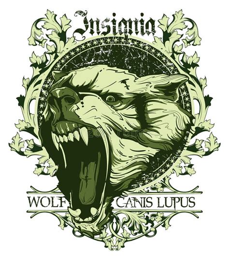 Wolf Lion And Grizzly Bear Stock Vector Illustration Of Lion Eaters