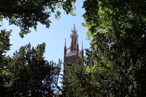 Park Zahrada Voda Fotografie Zdarma Na Pixabay Pixabay