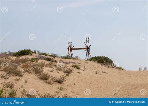 Sand Dune Vegetation Stock Photo Image Of Land Boat 119020554