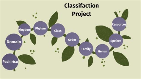 Classification Project By Anshul Munnangi On Prezi