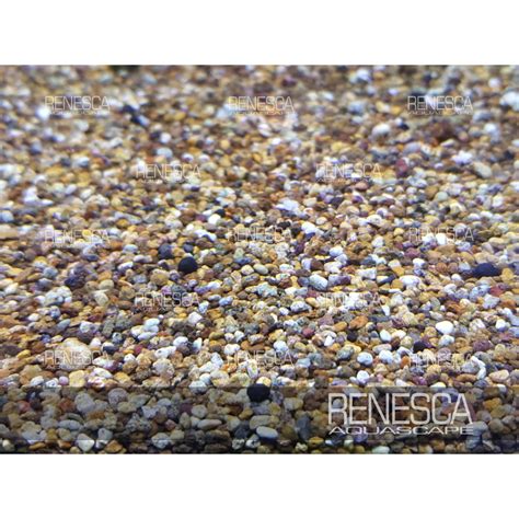 Jual Pasir Mutiara Tia Sand Kg Pasir Hias Aquascape Aquarium