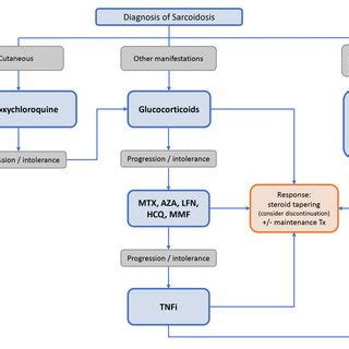 Algorithm Of Systemic Treatments In Sarcoidosis Mtx Methotrexate