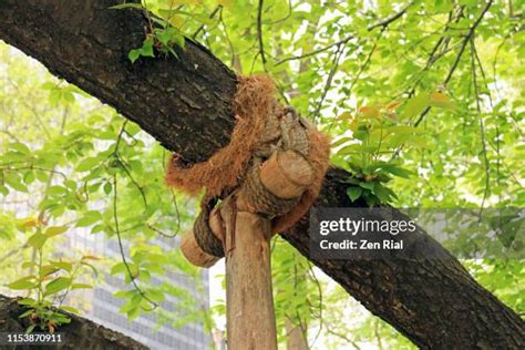 Wooden Crutches Photos And Premium High Res Pictures Getty Images