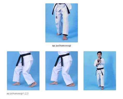 Taekwondo Stances | Taekwondo, Taekwondo training, Stance