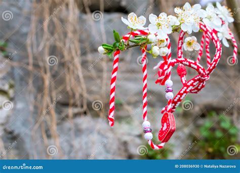 Different Bulgarian Martenitsa On Blossoming Tree Stock Photo Image