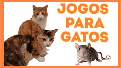 JOGOS PARA GATOS O RATO JOGOS DE GATOS GATO CAÇA RATO YouTube