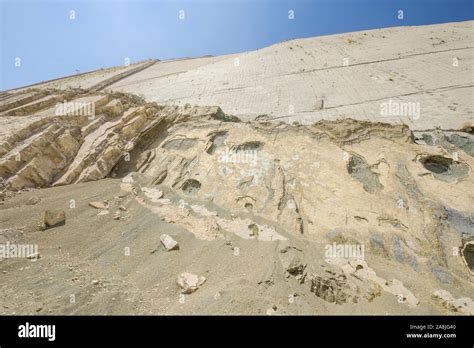 Exceptional Wall With Dinosaurs Tracks In The Parque Cret Cico Or