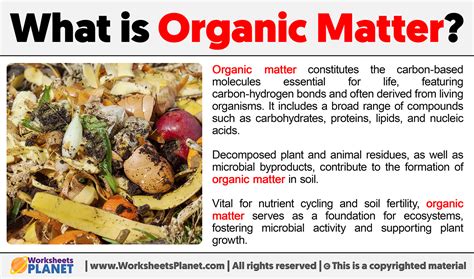 What is Organic Matter