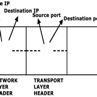 Network architecture | Download Scientific Diagram