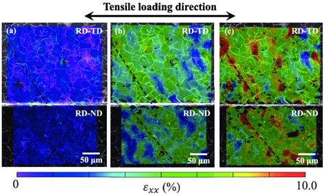 Sem Images And Dic Strain Maps Of Two Perpendicular Planes In Specimens