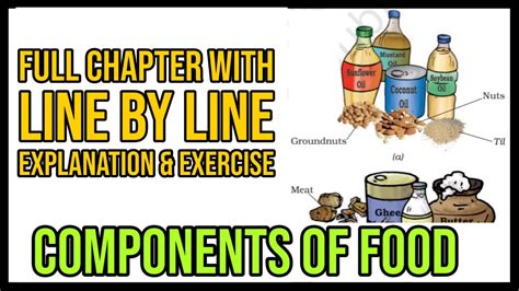 Components Of Food Class 6 Chapter 2 Science CBSE NCERT