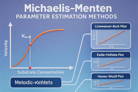 michaelis menten parameter estimation methods  notes