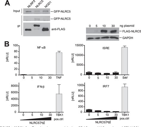 Figure From A Role For The Human Nucleotide Binding Domain Leucine