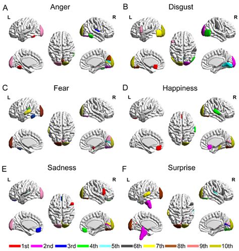 Decoding Six Basic Emotions Fr [image] Eurekalert Science News Releases