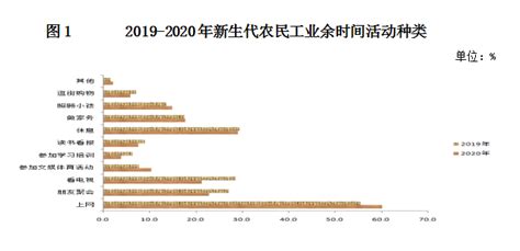 2020年北京市外来新生代农民工监测报告 轻识