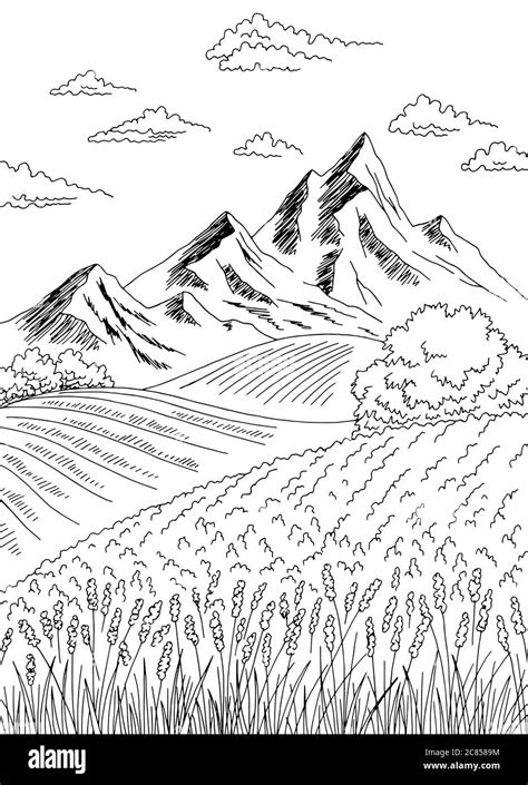 Dibujos De Paisaje Campo Para Colorear Vsun