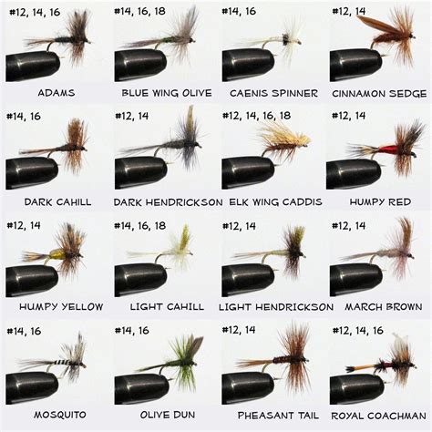 Different Types Of Flies Fishing At Morgan Stubbs Blog