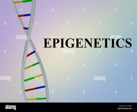 3D Illustration Of EPIGENETICS Script With DNA Double Helix